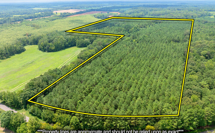 Pictures of Land property located at 0 Darden Road, Lexington, TN 38351 for sales - image #1