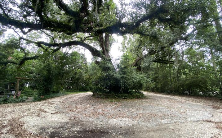 Pictures of Special Purpose property located at 306 E Doty Avenue, Summerville, SC 29483 for sales - image #1