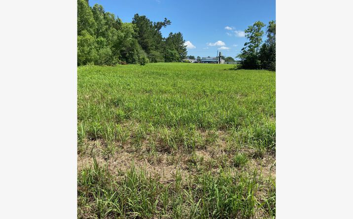 Pictures of Land property located at 17859 US-98, Foley, AL 36535 for sales - image #1