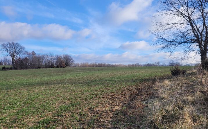 Pictures of Land property located at Bales Rd, Middletown, MO 63359 for sales - image #1