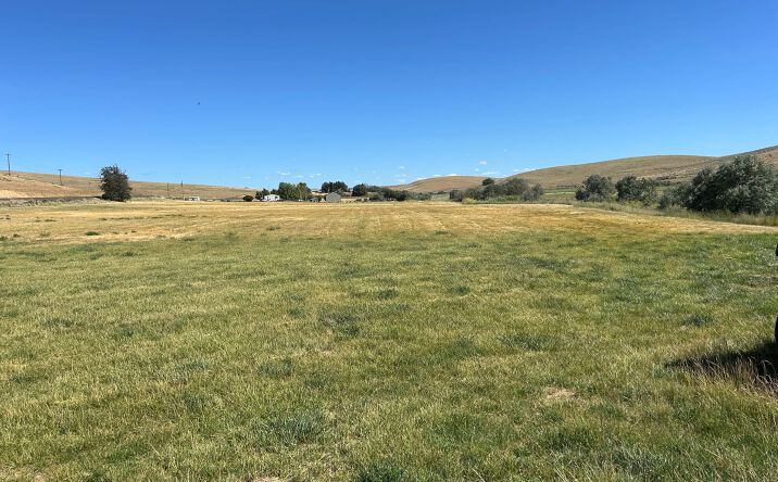 Pictures of Land property located at Hwy 74, Lexington, OR 97839 for sales - image #1