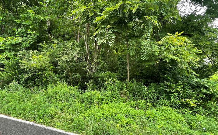 Pictures of Land, Multifamily property located at TBD Drill Rd., Honaker, VA 24260 for sales - image #1