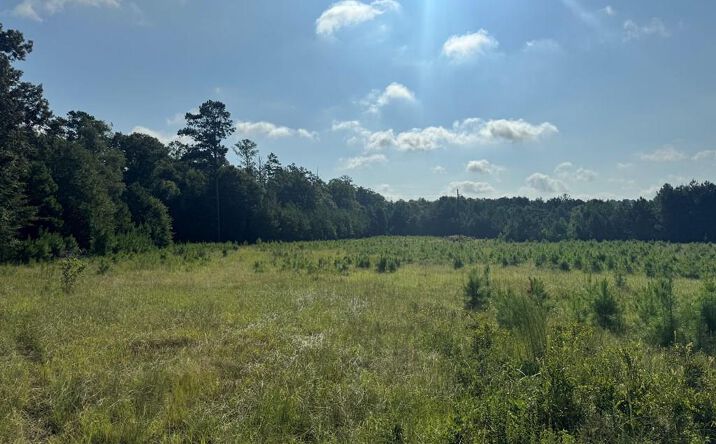 Pictures of Land property located at East Lamar Street, Americus, GA 31709 for sales - image #1