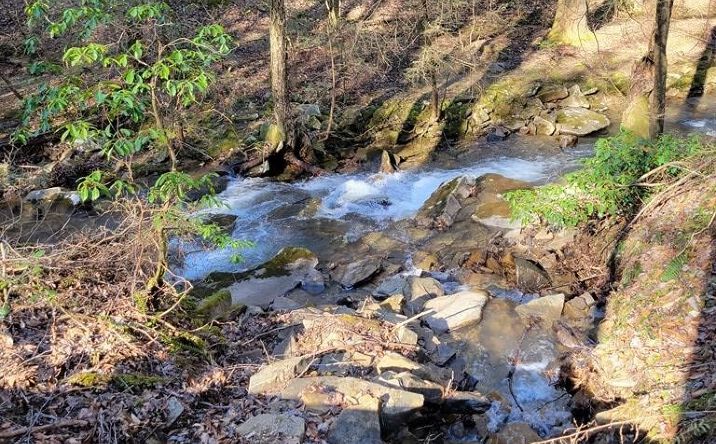 Pictures of Land property located at Lot 413 Tall Tree, Dunlap, TN 37327 for sales - image #1