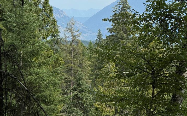 Pictures of Land property located at 88 Abbey Road, Whitefish, MT 59937 for sales - image #1