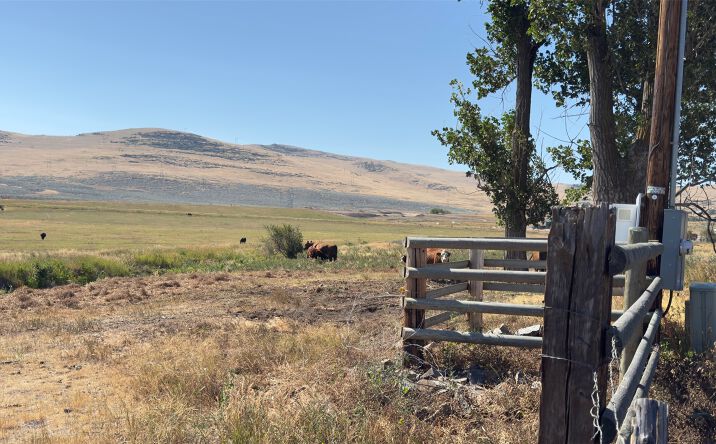 Pictures of Land property located at NHN Mt Highway 28, Hot Springs, MT 59845 for sales - image #1