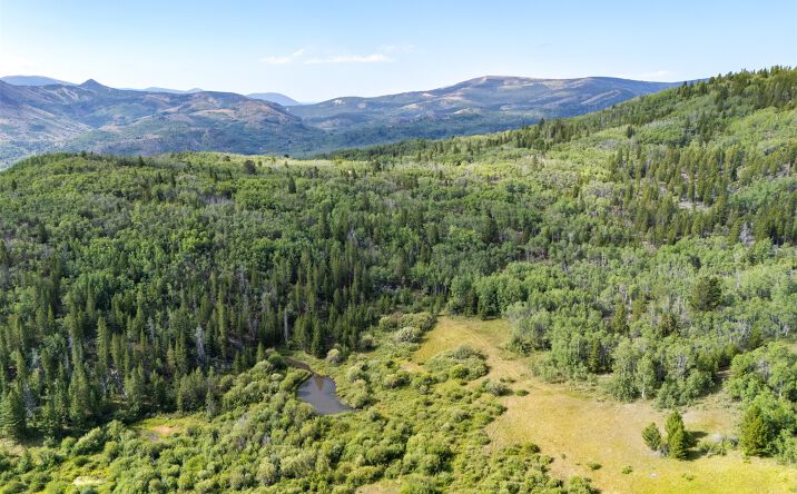 Pictures of Land property located at TBD Tract A TBD, Anaconda, MT 59711 for sales - image #1