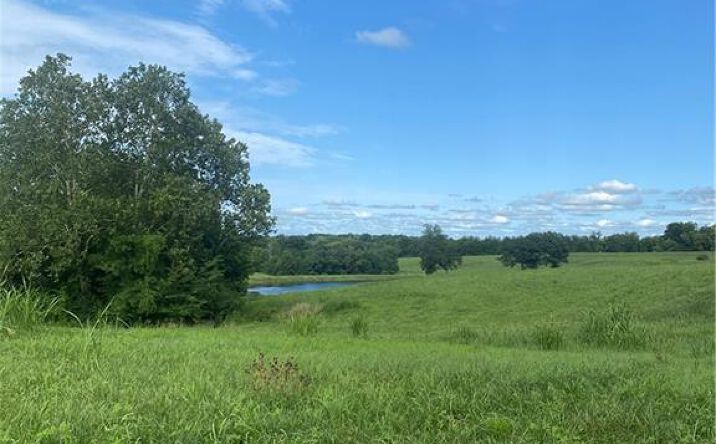 Pictures of Land property located at Meadow Lane Road, Richmond, MO 64085 for sales - image #1