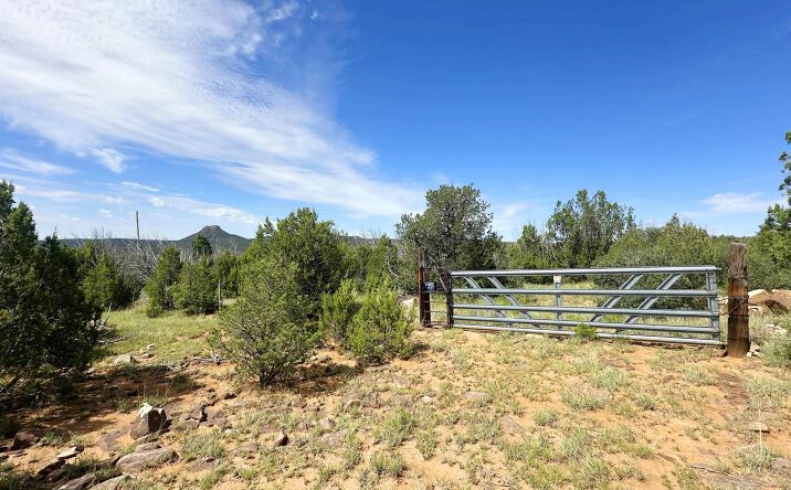 Pictures of Land property located at 10 Acres On County Road B26d, Serafina, NM 87569 for sales - image #1
