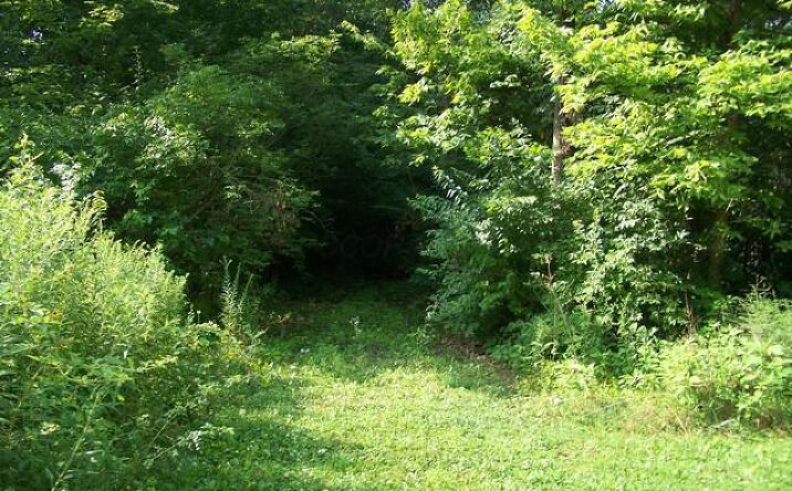 Pictures of Land property located at 0 Owens Road E, Marion, OH 43302 for sales - image #1