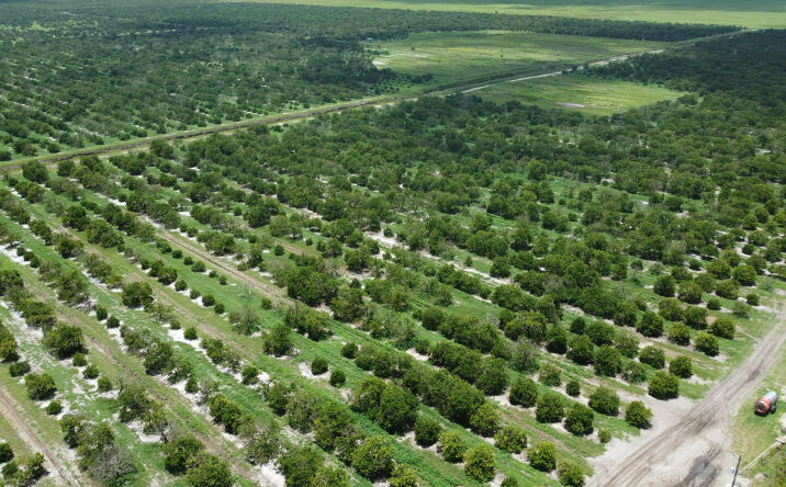 Pictures of Land property located at 3274 Auburn St, Lorida, FL 33857 for sales - image #1