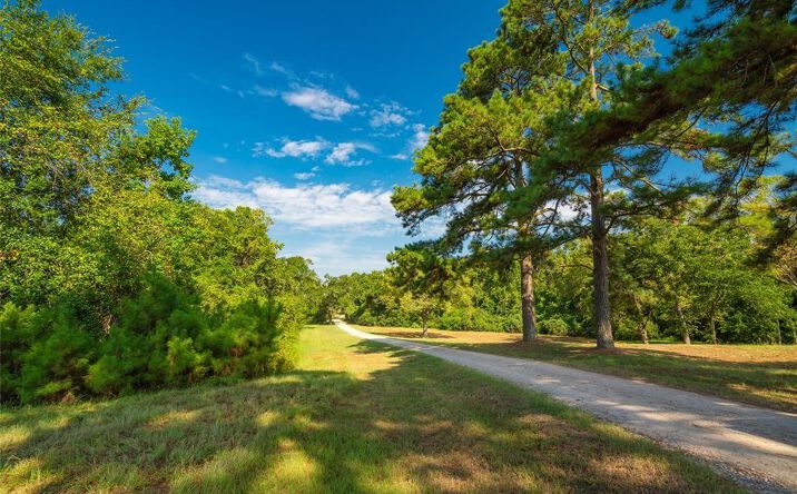 Pictures of Land property located at 19204 Fm 359 Road, Hempstead, TX 77445 for sales - image #1