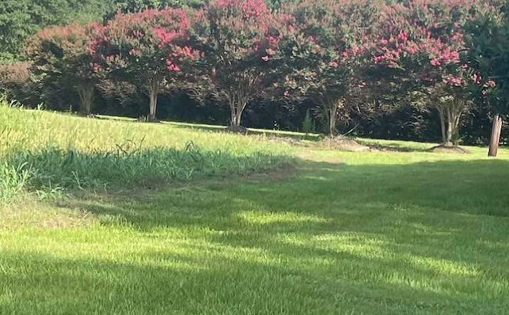 Pictures of Land, Mixed Use, Special Purpose property located at 720 Hwy 31, Amite City, LA 70422 for sales - image #1