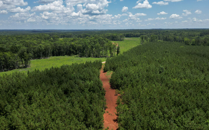 Pictures of Land property located at  for sales - image #1