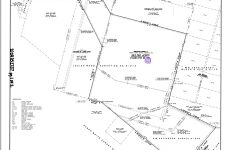 29561648