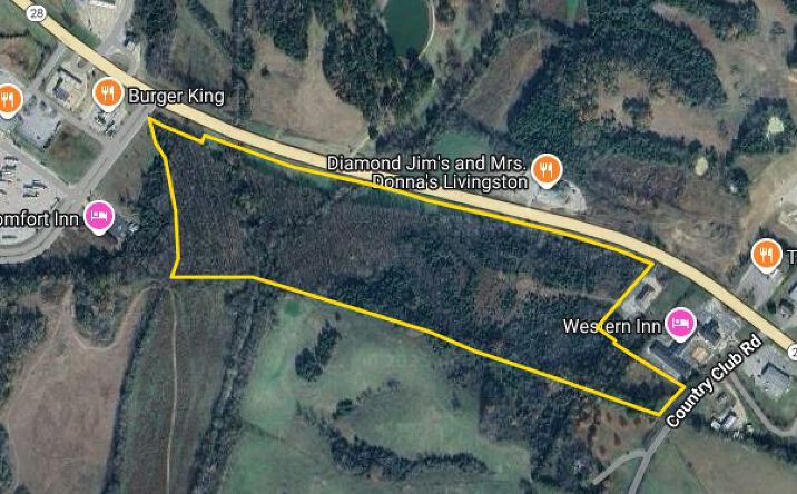 Pictures of Land property located at 0 Hwy 28, Livingston, AL 35470 for sales - image #1