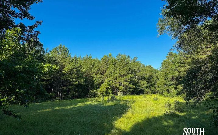 Pictures of Land property located at J M Burge Rd, Hattiesburg, MS 39402 for sales - image #1