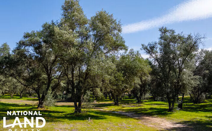 Pictures of Land property located at 2804 Southgate Rd, Alpine, CA 91901 for sales - image #1