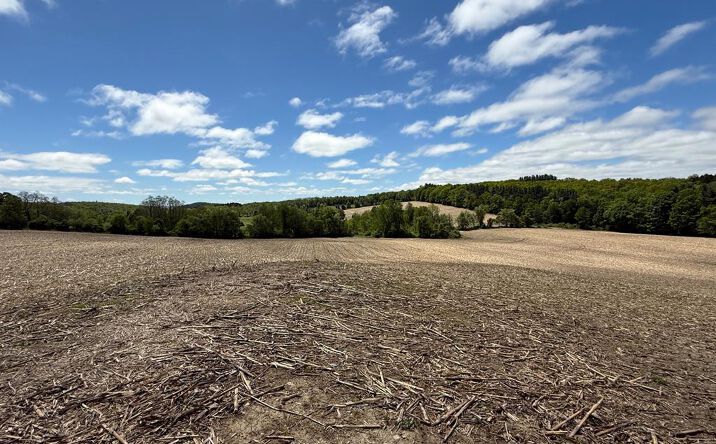 Pictures of Land property located at Skunks Misery Rd, Millerton, NY 12546 for sales - image #1