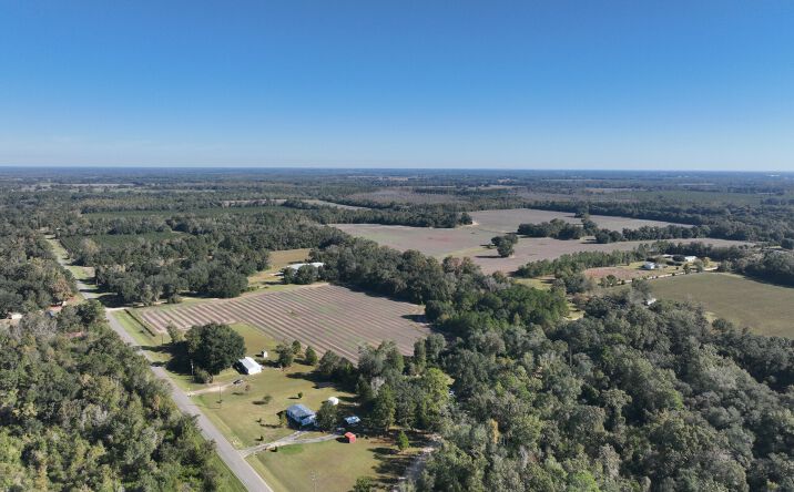 Pictures of Land property located at 0 5018 Old U S Rd, Marianna, FL 32446 for sales - image #1