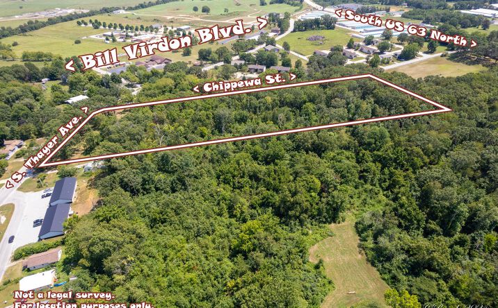 Pictures of Land property located at 000 Thayer Avenue, West Plains, MO 65775 for sales - image #1