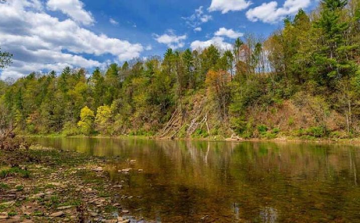 Pictures of Land property located at Tbd Route 1, Parsons, WV 26287 for sales - image #1