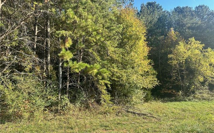 Pictures of Land, Special Purpose, Office, Industrial property located at 000 US-411, Rydal, GA 30171 for sales - image #1