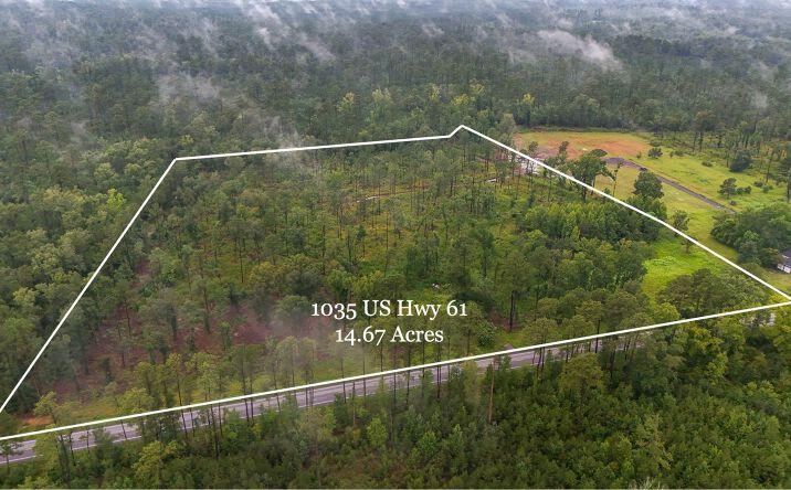 Pictures of Land property located at 1035 Highway 61, Ridgeville, SC 29472 for sales - image #1