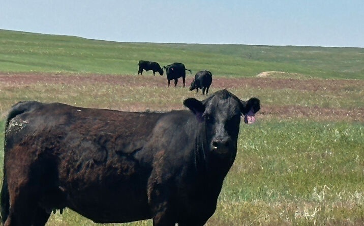 Pictures of Land property located at 16400 Winview Mile Road, Fort Morgan, CO 80701 for sales - image #1