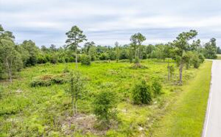 Pictures of Land property located at Tbd Old Barnwell Road, Williston, SC 29853 for sales - image #1