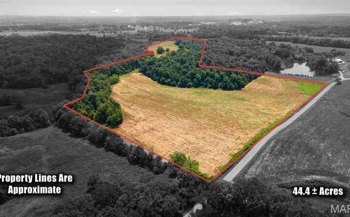 Pictures of Land property located at County Road 349, Millersville, MO 63766 for sales - image #1