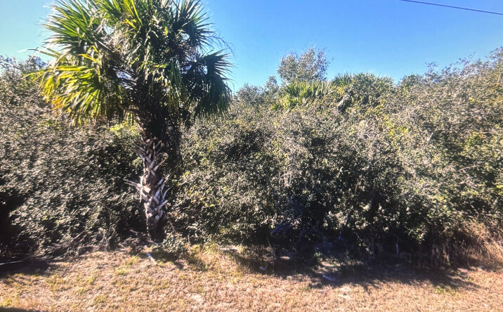Pictures of Land property located at 0 Old Dixie N Highway, Fort Pierce, FL 34946 for sales - image #1