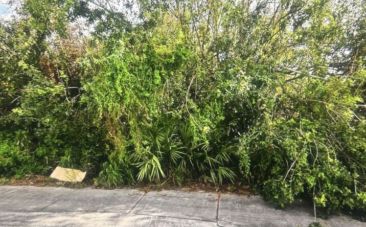 Pictures of Land property located at 0 N 25th Street, Fort Pierce, FL 34947 for sales - image #1