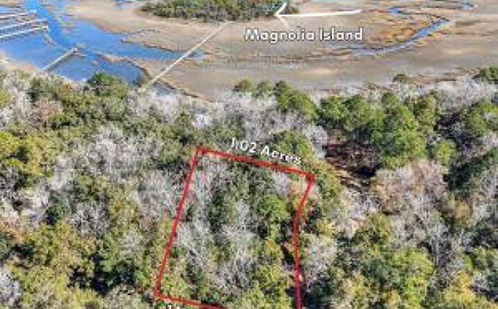 Pictures of Land property located at 141 Bull Point Dr, Seabrook, SC 29940 for sales - image #1