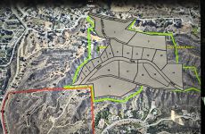 25808995