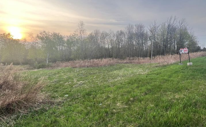 Pictures of Land property located at 838 Old Liberty Road, Thompson, NY 12701 for sales - image #1