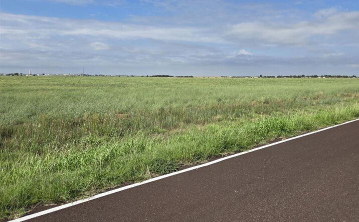 Pictures of Land property located at Tract 11 Cr I Road, Clovis, NM 88101 for sales - image #1
