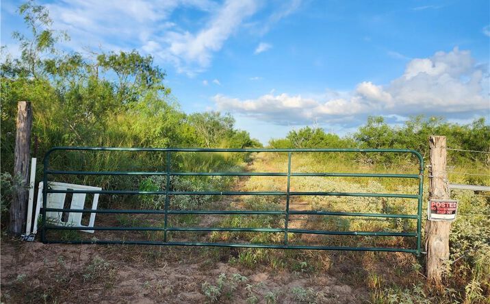Pictures of Land property located at 7275 S I-69 S, Encino, TX 78353 for sales - image #1