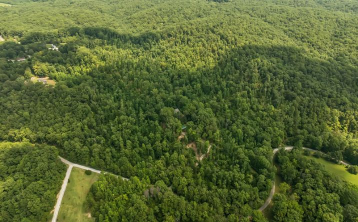 Pictures of Land property located at 368 Rackley Rd, Hohenwald, TN 38462 for sales - image #1