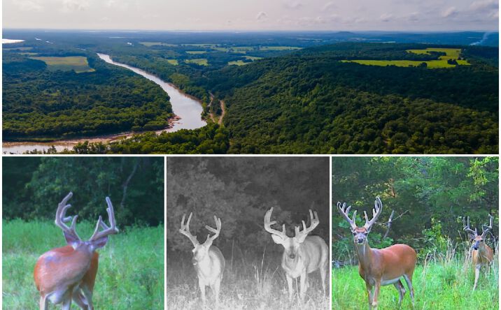 Pictures of Land, Business for Sale property located at 0000 N 4040 Road, Stidham, OK 74461 for sales - image #1
