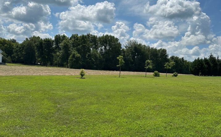 Pictures of Land property located at 0 Maynard Ln, Columbia, TN 38401 for sales - image #1