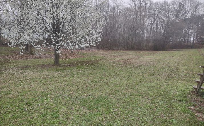 Pictures of Land property located at 95 Lakeside Lane Lot 38, Decaturville, TN 38329 for sales - image #1