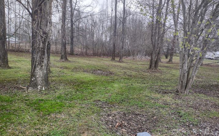 Pictures of Land property located at 111 Lakeside Lane Lot 39, Decaturville, TN 38329 for sales - image #1