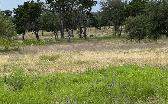 Pictures of Land property located at 251 Pioneer Trail, Dripping Springs, TX 78620 for sales - image #1