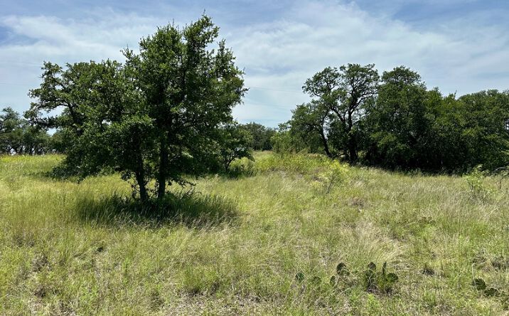 Pictures of Land property located at 1078 Lake Breeze, Brownwood, TX 76801 for sales - image #1