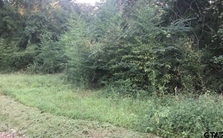 Pictures of Land property located at TBD Co Rd 4105, Jacksonville, TX 75766 for sales - image #1