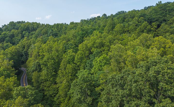 Pictures of Land property located at TBD Brushy Mountain Rd, Moravian Falls, NC 28654 for sales - image #1