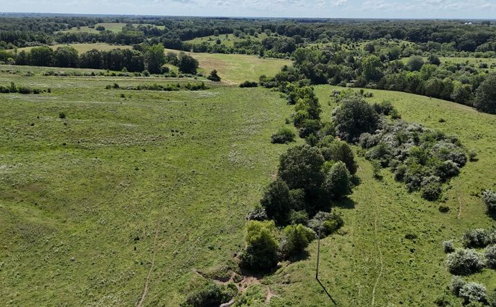 Pictures of Land property located at State Hwy Y, Lewistown, MO 63452 for sales - image #1