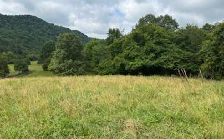 Pictures of Land property located at 0 Trent Valley Road, Sneedville, TN 37869 for sales - image #1