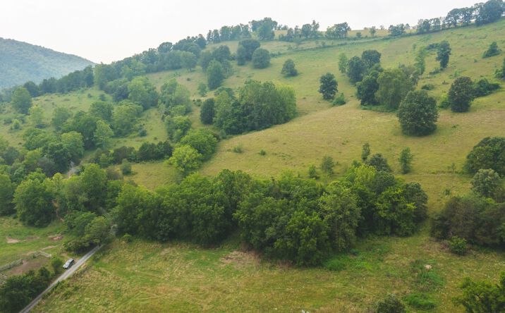 Pictures of Land property located at Lots 18-20 Big Springs, Eidson, TN 37731 for sales - image #1